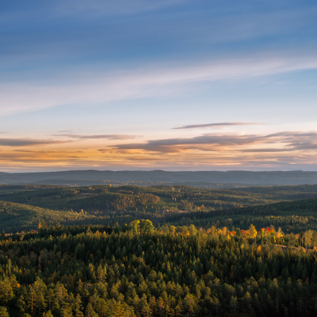 "Never ending expanse of forests hills" stock image