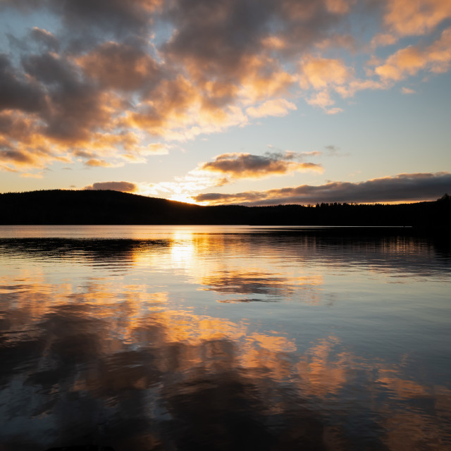 "Last light on the forest lake" stock image