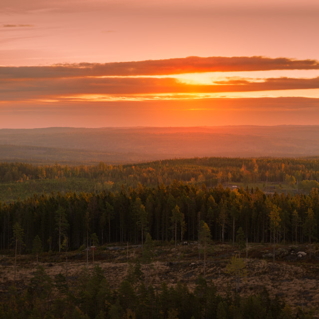 "Deforestation" stock image