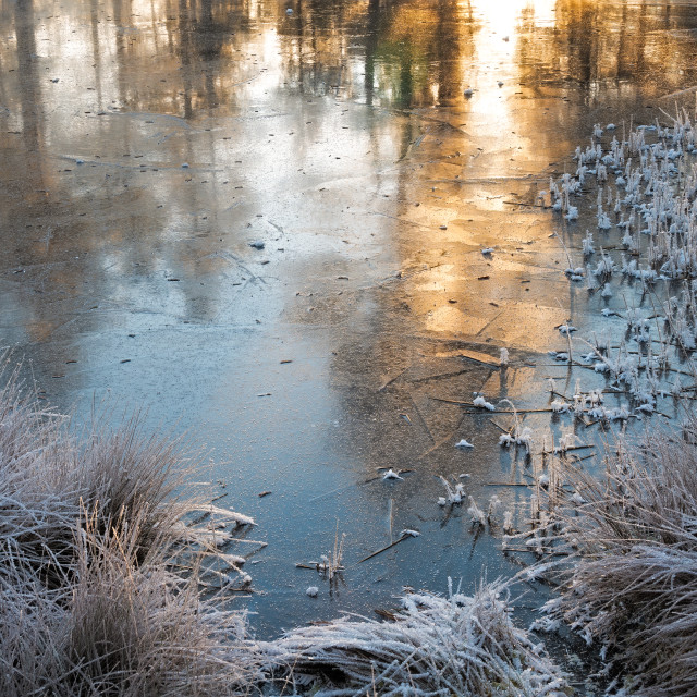 "Winter sunrise on icy water" stock image