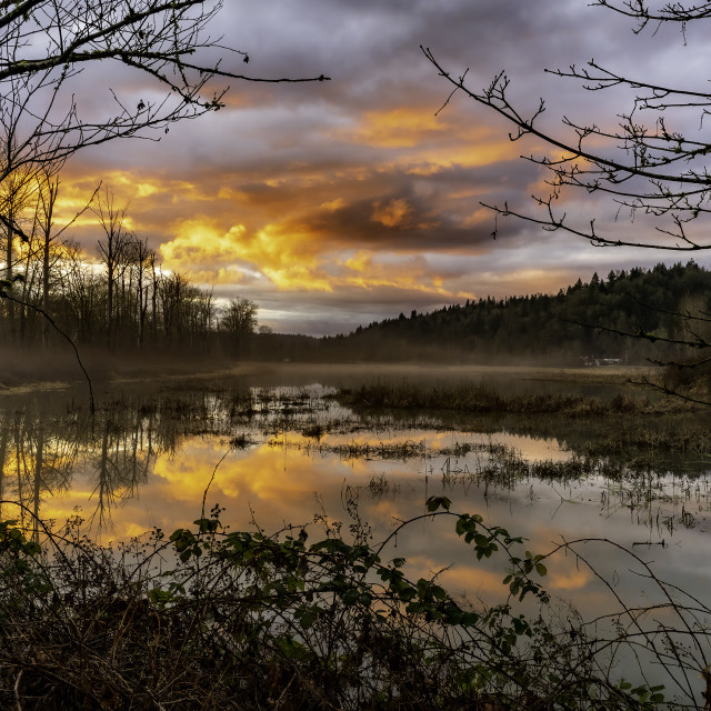 "Duvall Wetland Sunset" stock image