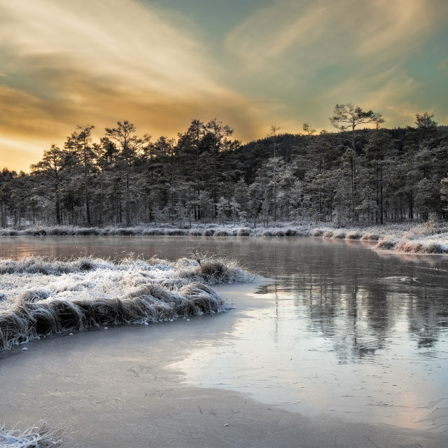 "Warm sunset over the frozen pond" stock image