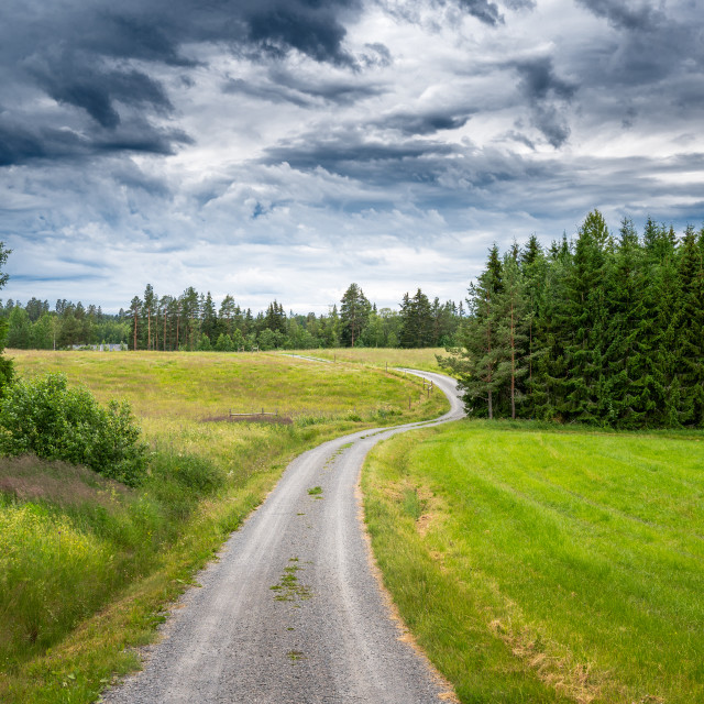 "Countryside road towards the forest" stock image