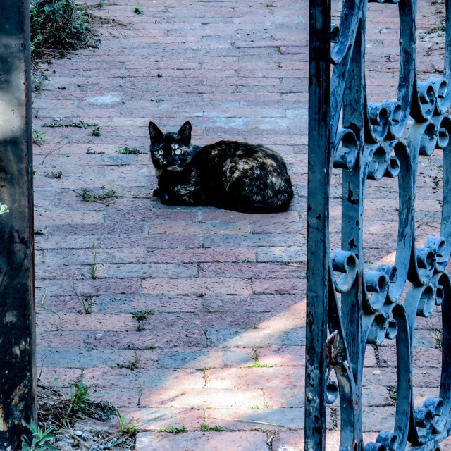 "Guardian of the Gate" stock image