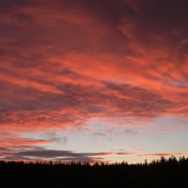 "Burning winter sky" stock image