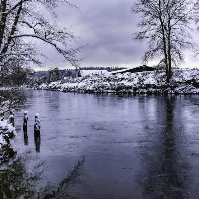 "Snowy Snoqualmie River in Fall City" stock image