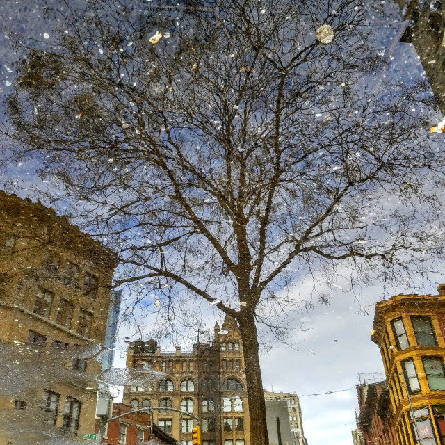 "Union Square moonlight" by Nancy E Hightower - $37.20 "Union Square moonlight" stock image