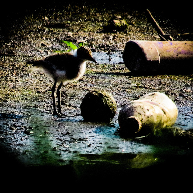 "Plastic Pollution Series" stock image