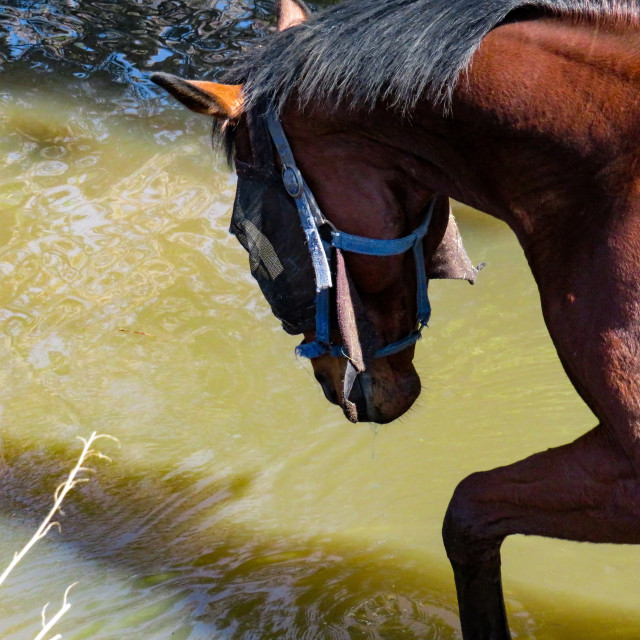 "Cautious" stock image