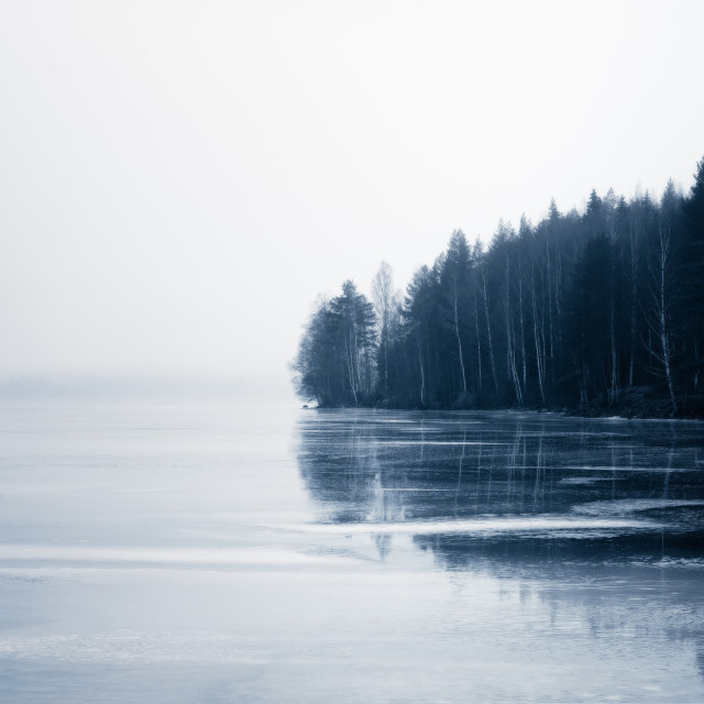 "The forest and the misty lake" stock image