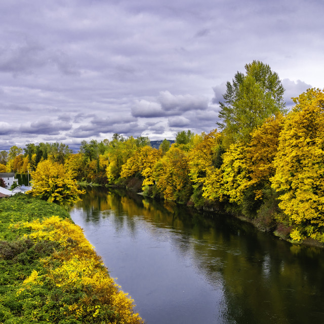 "Autumn in Duvall #3" stock image