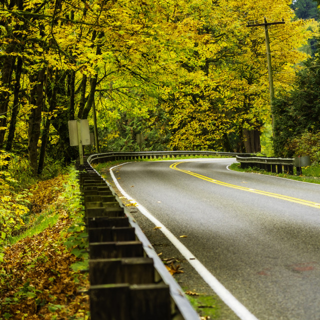 "Autumn in Duvall #2" stock image