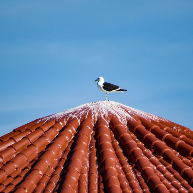 "Bird's Eye View" stock image