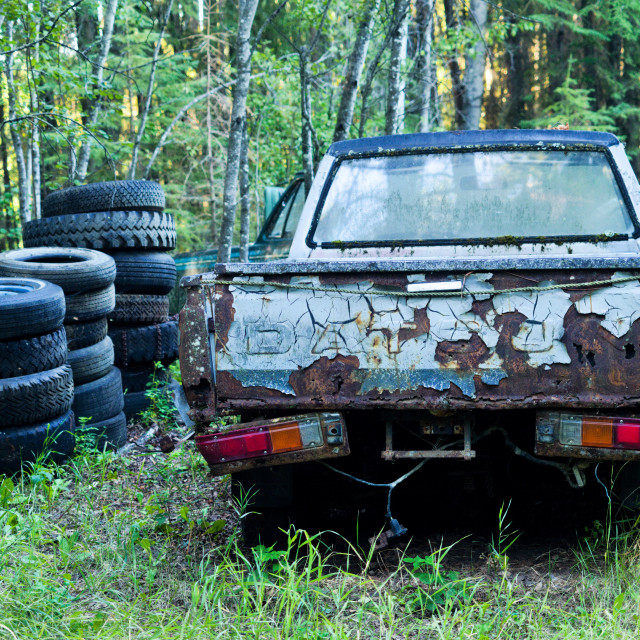 "Abandoned Datsun pickup truck." stock image