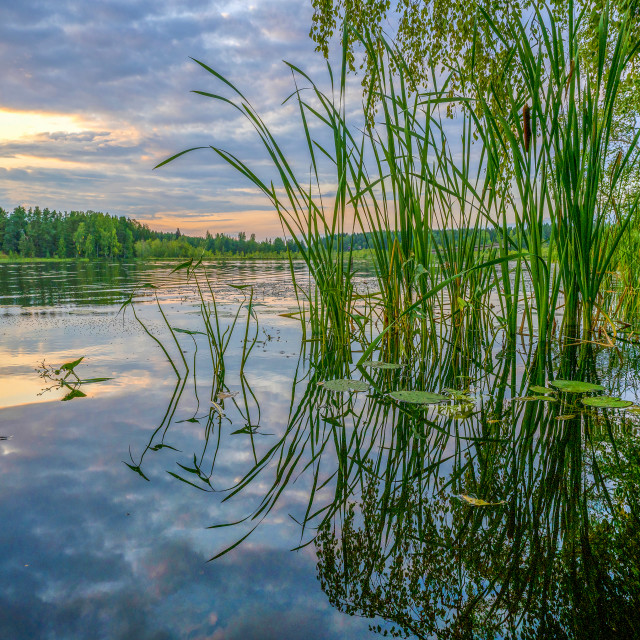 "Lake Shore. Askola, Finland." stock image