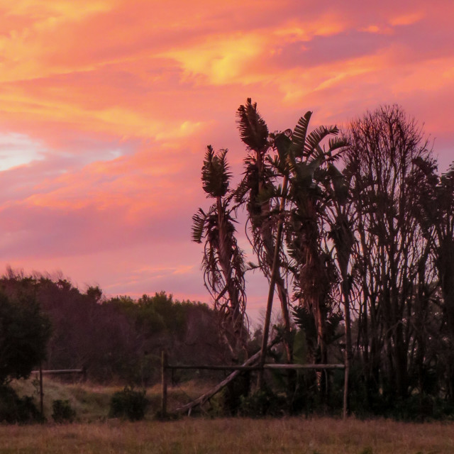 "Op die Plaas" stock image