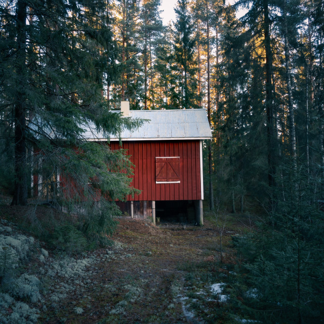 "Red cabin in the forest" by Simona D'Auria - $6.08 "Red cabin in the forest" stock image