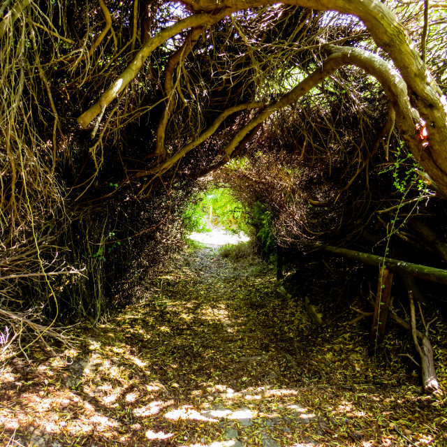 "Tunnel and Light" stock image