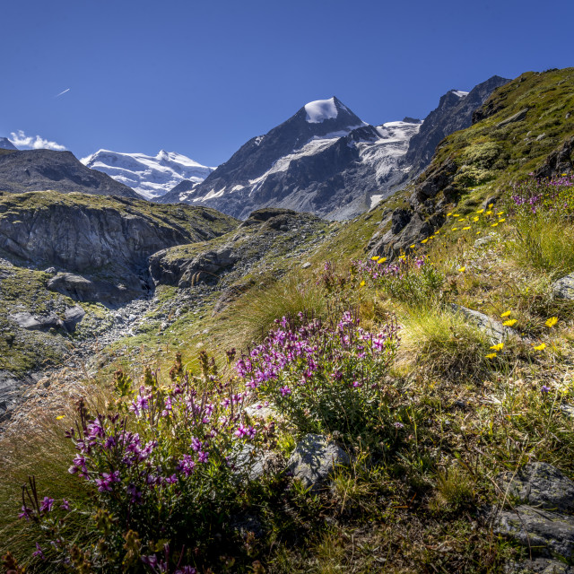 "Swiss mountains" stock image
