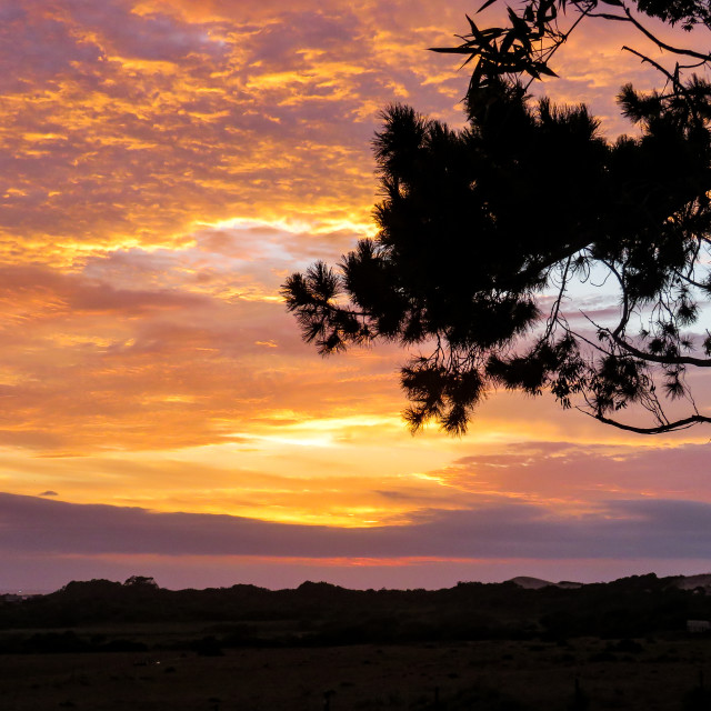 "Fire in the Sky ○♡" stock image