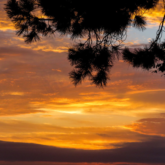 "Fire in the Sky ^□" stock image