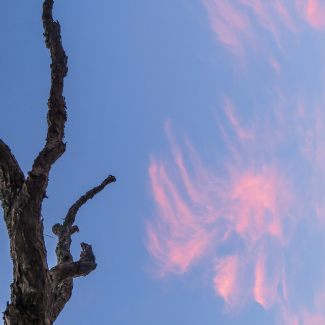 "Cloud Worship" stock image