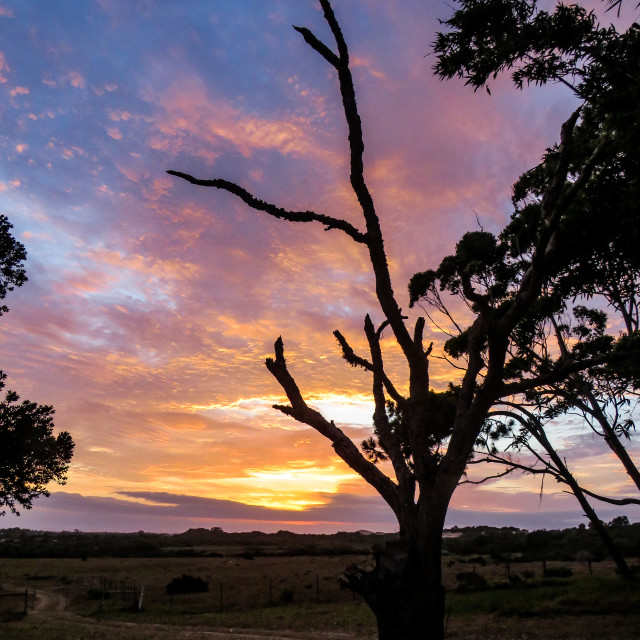 "Fire in the Sky" stock image