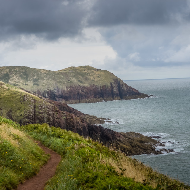 "Coastal Path In Pembrokeshire, Wales" stock image