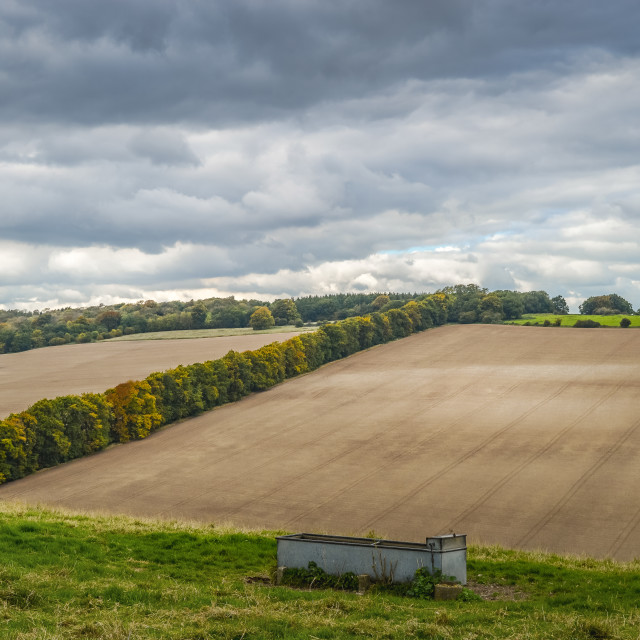 "A View On The South Wiltshire Downs" stock image