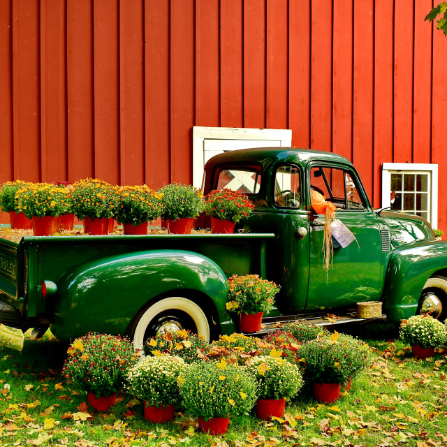 "Working Farm Truck at Breakneck Hill Farm" stock image