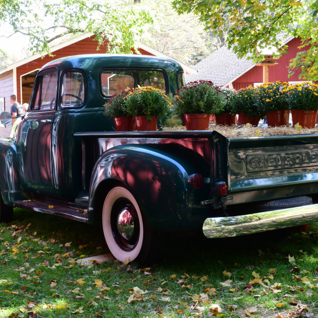 "Chevy 3100 Barn Reflection" stock image