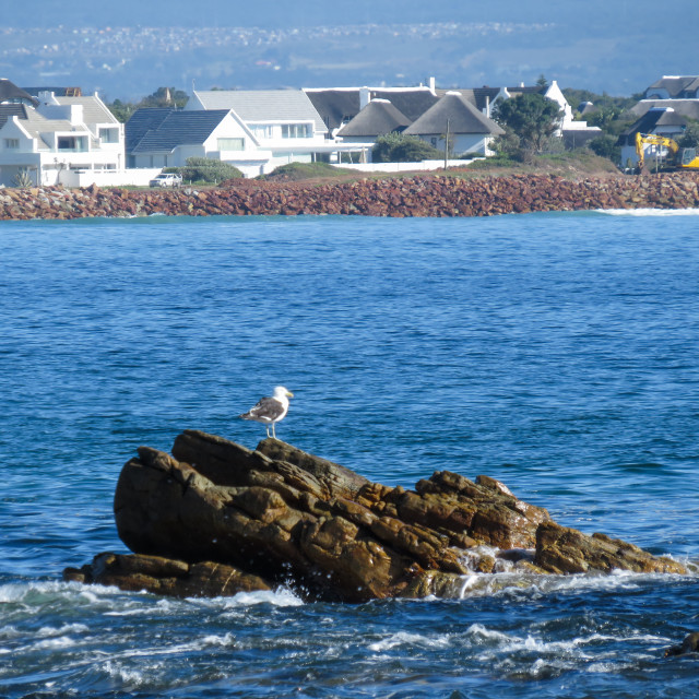 "St Francis from Two Harbours Walk" stock image