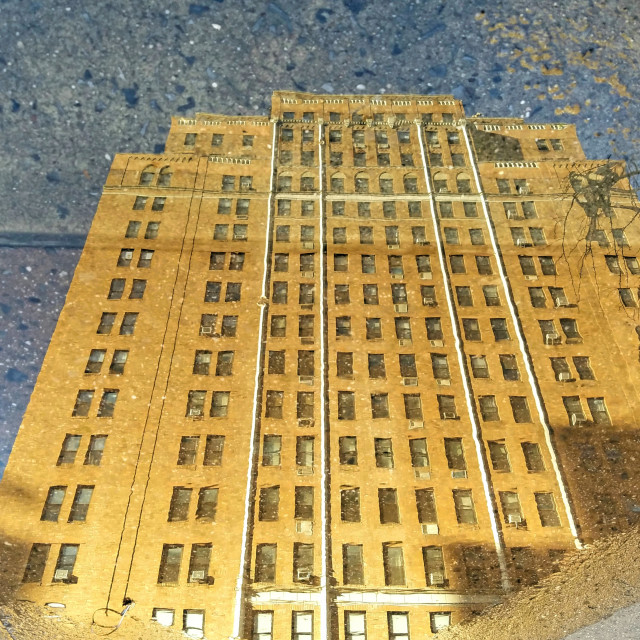 "Golden hour on 7th AVe" by Nancy E Hightower - $37.20 "Golden hour on 7th AVe" stock image