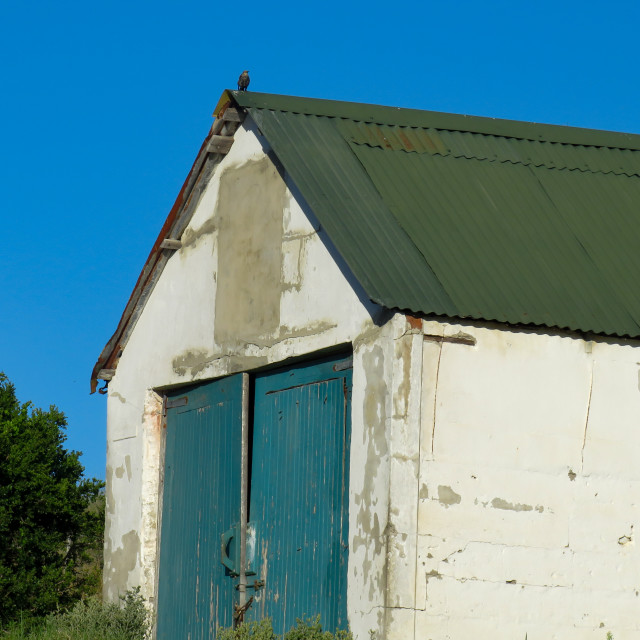 "The Barn and Chicken" stock image