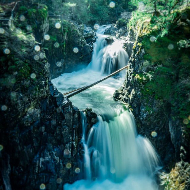 "Little Qualicum Falls" by Adam Price - $12.26 "Little Qualicum Falls" stock image