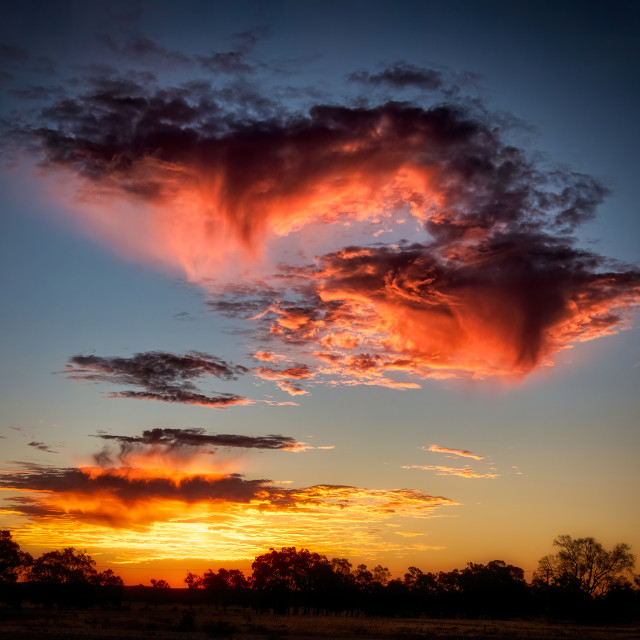 "Sunset Dragon" stock image