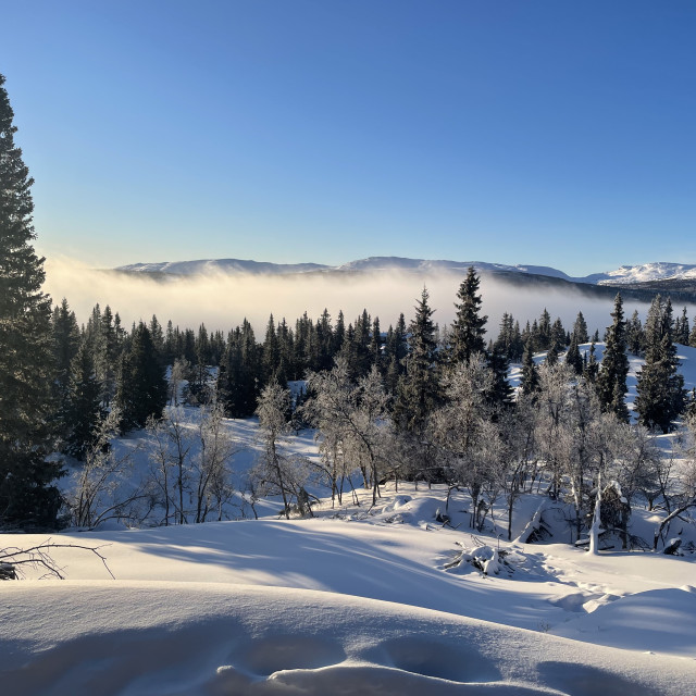 "Mountain View" stock image