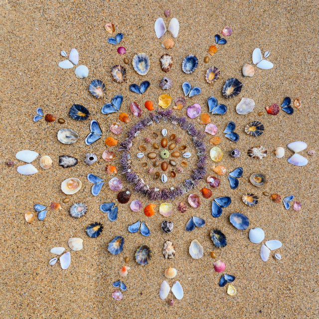 "Sea shell mandala on beach sand" stock image