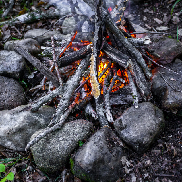 "Campfire" stock image