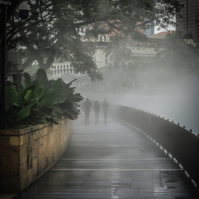 "silhouette of people on a misty morning" stock image