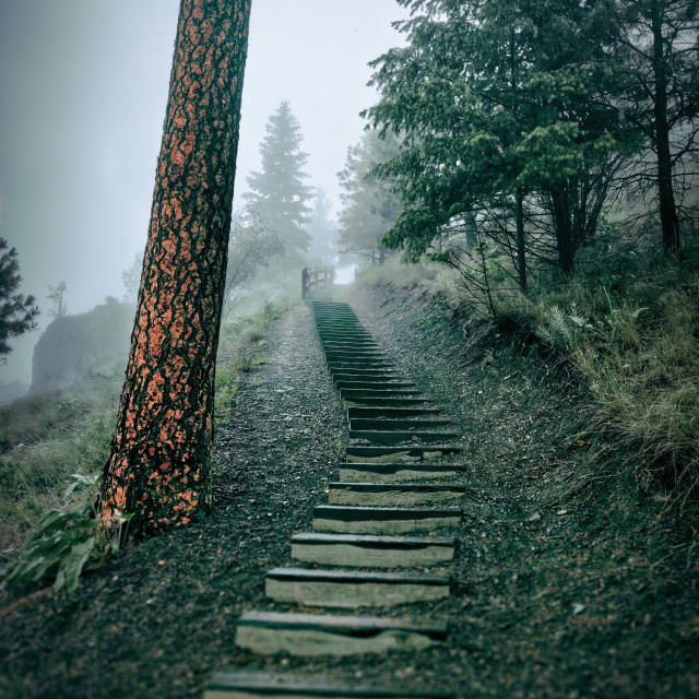 "Mountain Stairs" by Adam Price - $12.26 "Mountain Stairs" stock image
