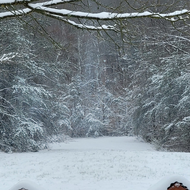 "Cold Winter's Day" stock image