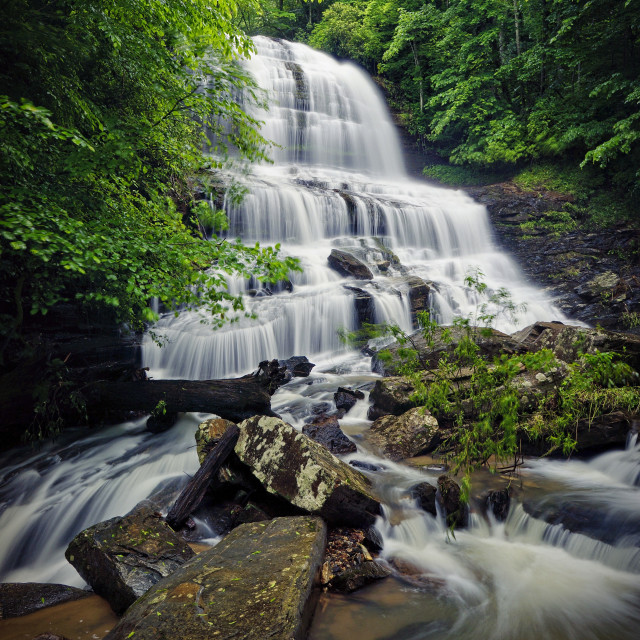"Pearson's Falls #1" by MHoffmanPhoto - £15.00 "Pearson's Falls #1" stock image
