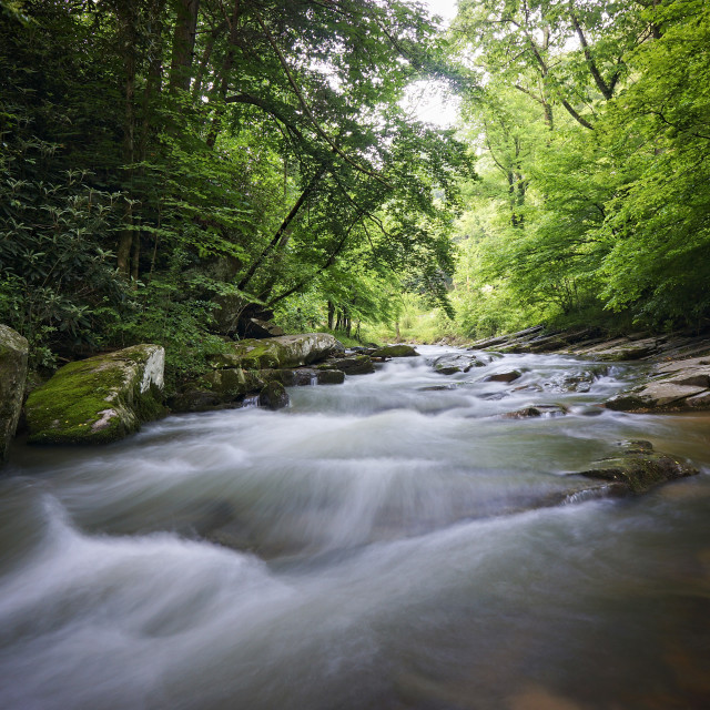 "Reedypatch Creek #4" by MHoffmanPhoto - £15.00 "Reedypatch Creek #4" stock image