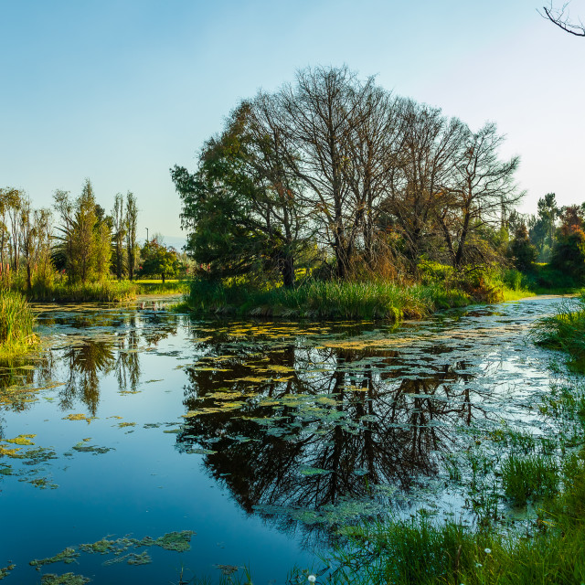 "Islet in Xochimilco" by Expvisual Filmmaking and Photography SAS de CV - $14.82 "Islet in Xochimilco" stock image