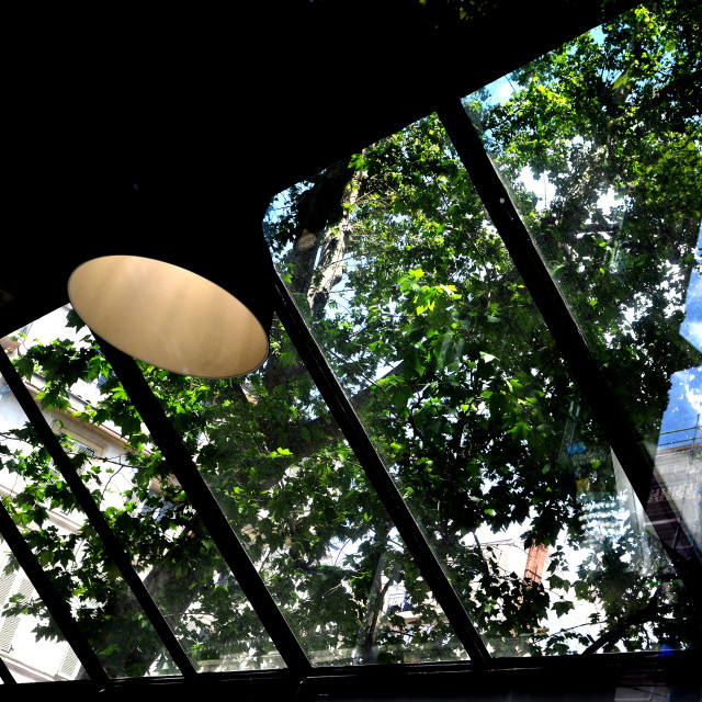 "skylight" by Amit Mendelsohn - $48.98 "skylight" stock image