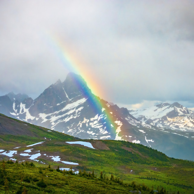 "Jasper Rainbow" by Adam Price - $12.26 "Jasper Rainbow" stock image
