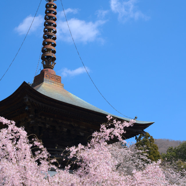 "Stupa and Sky 2" stock image