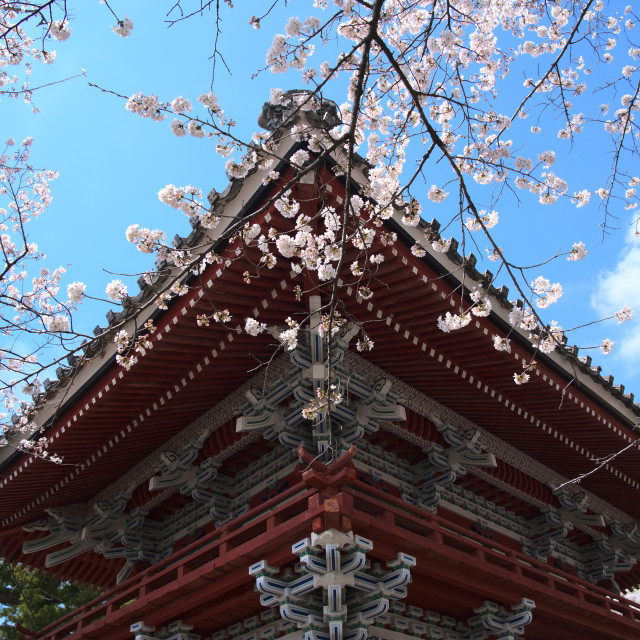 "Temple Gate in Bloom" by Blue Magister - $85.67 "Temple Gate in Bloom" stock image