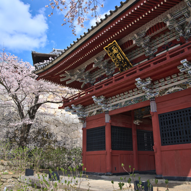 "Gate and Blooms" by Blue Magister - $24.48 "Gate and Blooms" stock image